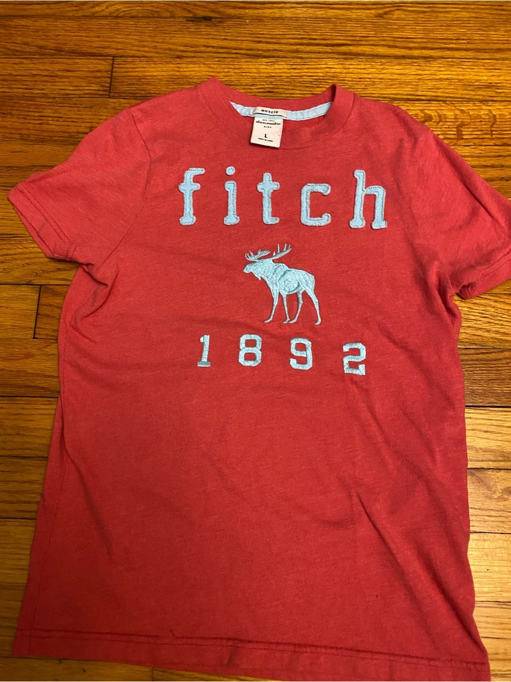 Boys Abercrombie & Fitch Red Tee with Light Blue Appliqué Logo L